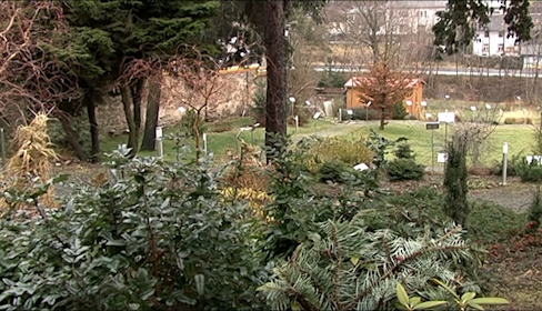 Novoměstské arboretum bojuje s vandaly, zatím neúspěšně