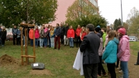 Do oslav svátku republiky se zapojily i žďárské církve. Před BiGy vysadily lípu století