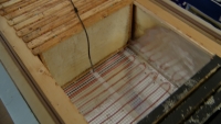 Včely na novoměstsku mají vlastní saunu. Kvůli nebezpečným parazitům